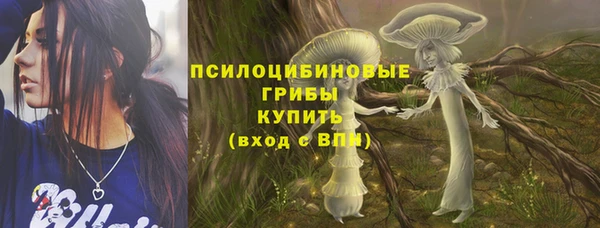 а пвп мука Вяземский