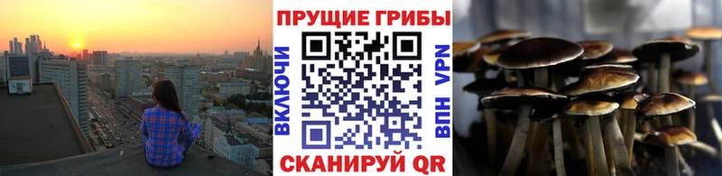 где продают наркотики  ссылка на мегу ссылки  Псилоцибиновые грибы MAGIC MUSHROOMS  Плёс 